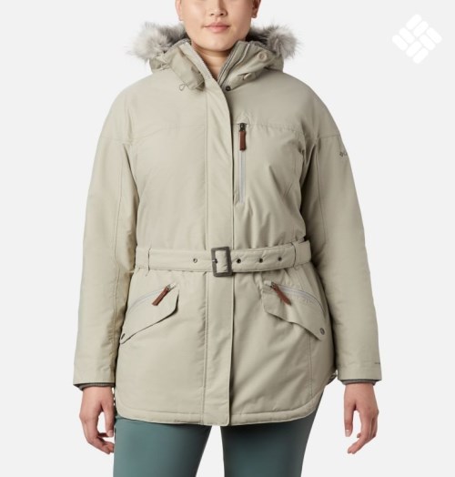 Women's Columbia Carson Pass II Jackets Light Grey | Plus Size CA-EC05L